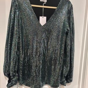 Adrienne Sequin V-Neck Blouse NWT